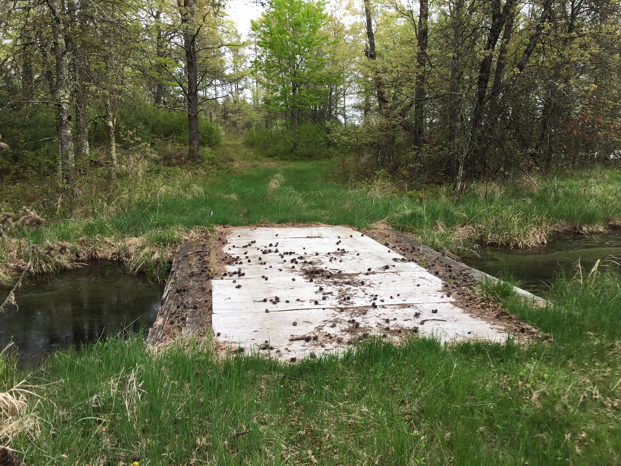 Pickerel Lake Gordon WI